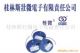 Guilin Strong Micro Electronics (GSME) Co., Ltd