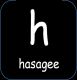 Hasagee International Pvt Ltd