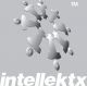 INTELLEKTX CONSULTING GROUP