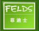 wenzhou felds electric co., ltd