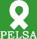 PELSA INTERNACIONAL S.A.