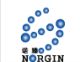 Shanghai Norgin New Chemical Materials Co., Ltd.