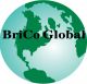 BriCo Global