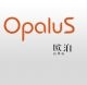 FOSHAN OPALUS QUARTZ STONE CO., LTD