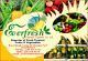 Everfresh Tropical Exports Co. Ltd.