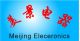 Yiwu Meijing Electronic Appliance Co., Ltd