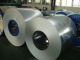 THAI TONY & MD CO,.LTD