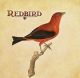 redbird online enterprises inccorporated