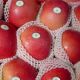 Yantai Tongda International Trading Co.,Ltd