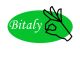 Bitaly International Trading Co., Ltd