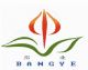 SHANDONG BANGYE CO LTD