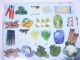 ANQIU YUNLI FOOD CO., LTD