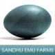 Sandhu Emu Farms