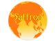 Saffron Events & Advertising Pvt. Ltd.