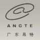 Guangdong Angte Co.