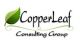 Copperleaf Consulting Group