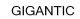 GIGANTIC INTERNATIONAL (H.K) CORPORATION LIMITED