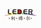 LEDER DIGITAL LIGHTING FACTORY