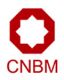 CNBM INTERNATIONAL CORPORATION