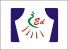 Puyuan Electronic Illumination Co., Ltd