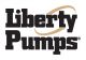 Liberty Pumps Inc