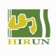 Shandong Hirun Investment Group