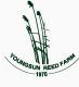 Youngsun Reed limited