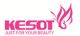 KESOT ELECTRONIC EQUIPMENT CO., LTD