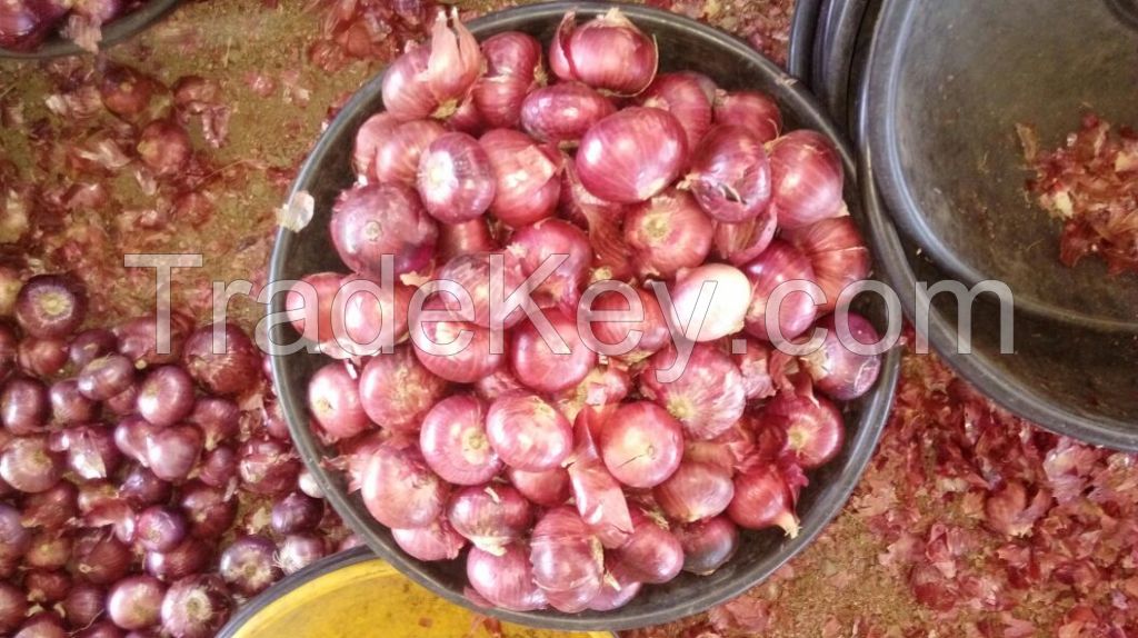 Indian Fresh Red Onion