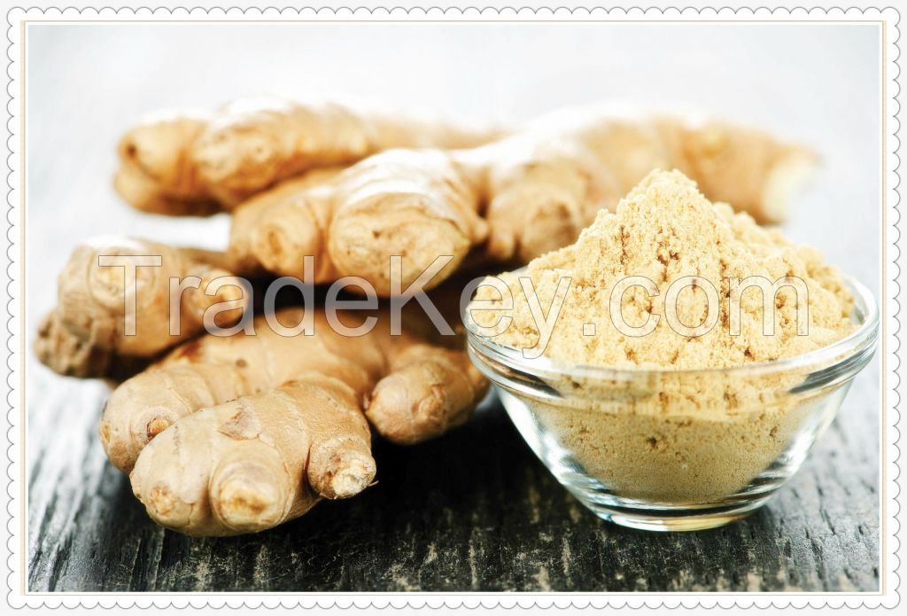 Ginger Powder Nature Pure Spices Plant Root Extract