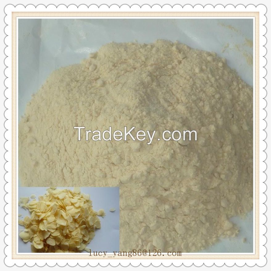 Garlic Powder Plant Seed Extract Natural Spices Factory Good Price