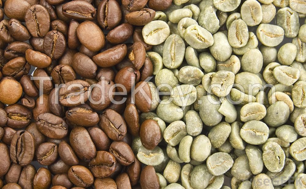 Arabica coffee beans