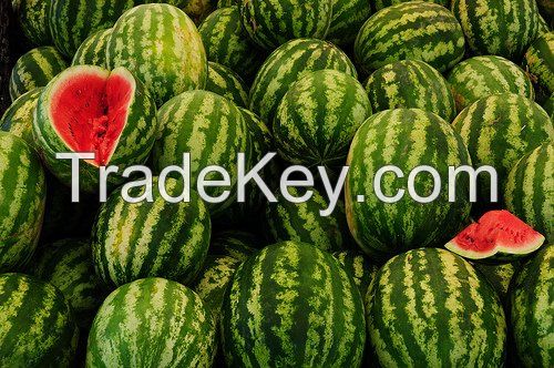 Fresh water melons
