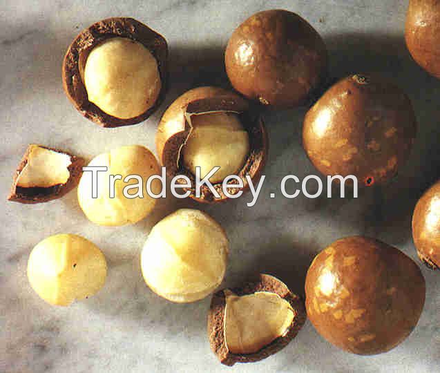 Macadamia Nuts