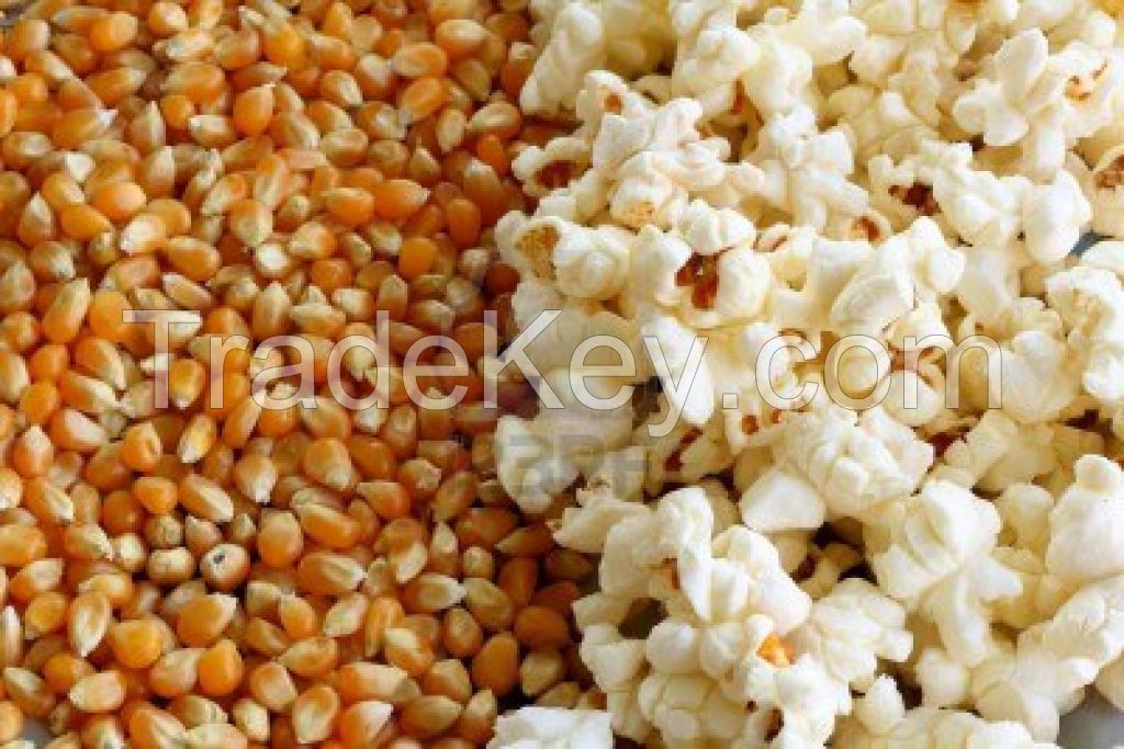 High Quality Popcorn