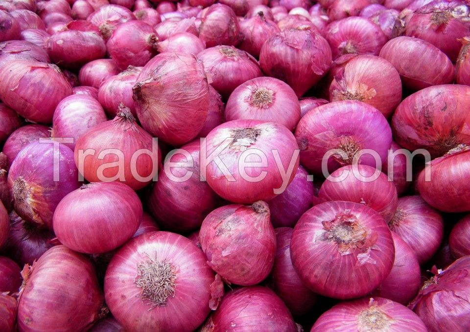 red onion