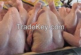 Fresh Frozen Halal Turkey Thigh Meat, Chicken Feet and Chicken Parts available ( Best Price )