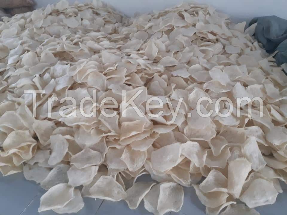 DRIED FISH  MAW