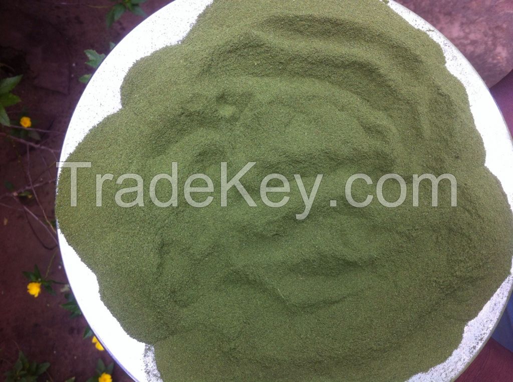 Looking for bulk buyers for moringa seeds and leaf powder