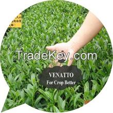 Plant Growth Regulator VENATTO for Crop Better
