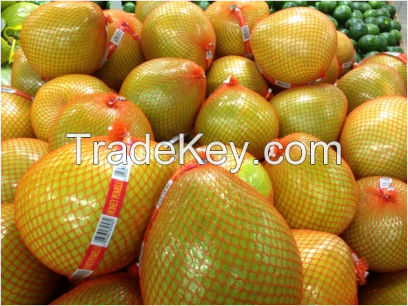 fresh pomelo from key supplier in China