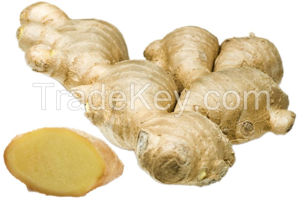 Fresh Ginger, Dried Ginger, Powder Ginger, Ginger