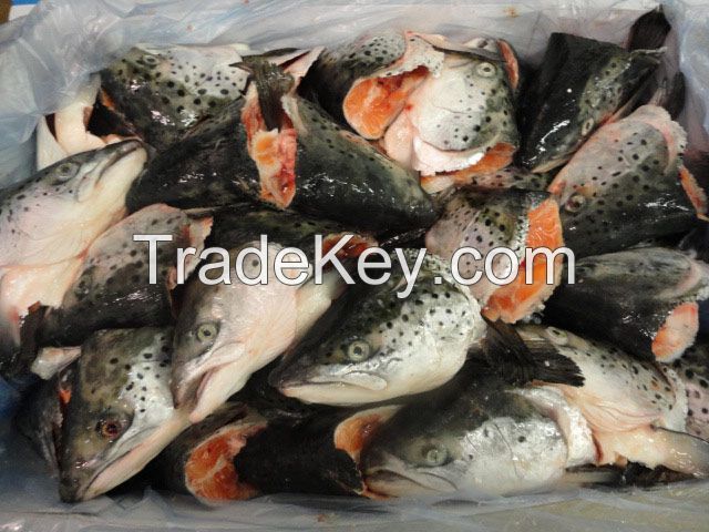 Fresh Frozen Salmon Heads