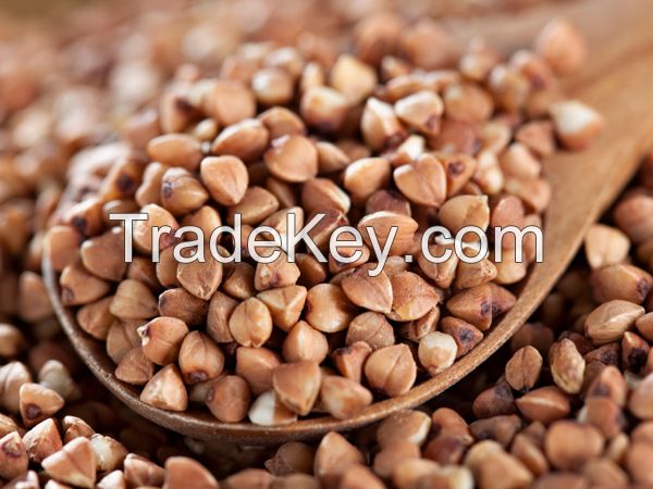 Wheat, Buckwheat, Barley, Pearl Barley, Millet, 