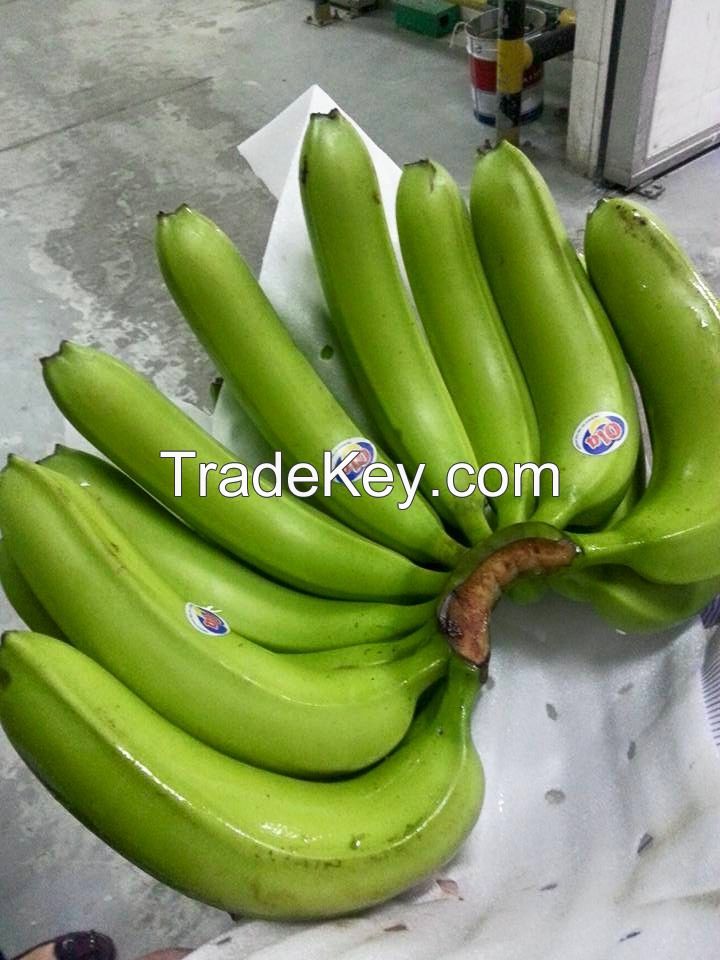 Philippine Cavendish Banana
