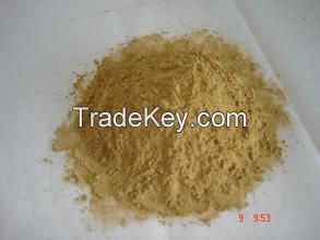 Ginkgo Biloba Leaf Extract