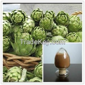 Sell Artichoke Extract 5%