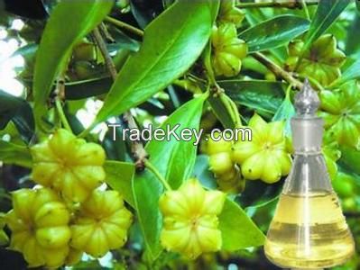 Star Anise Oil