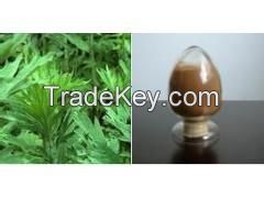 Wormwood Leaf Extract