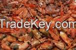 Sell DRIED SHRIMP SHELL-ANIMAL FEED